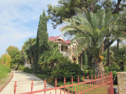 Home in the King William Historic Distric